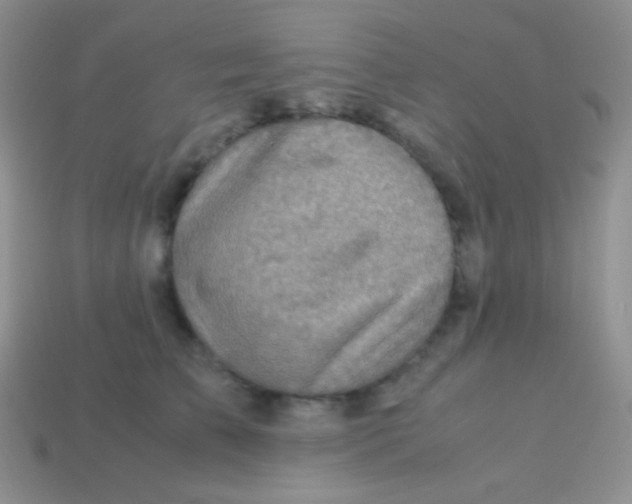 X0000113640709200910162037