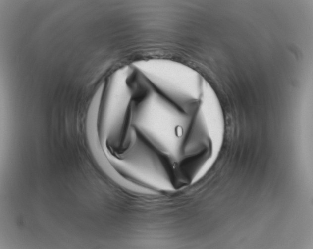 X0000113640712200910162037