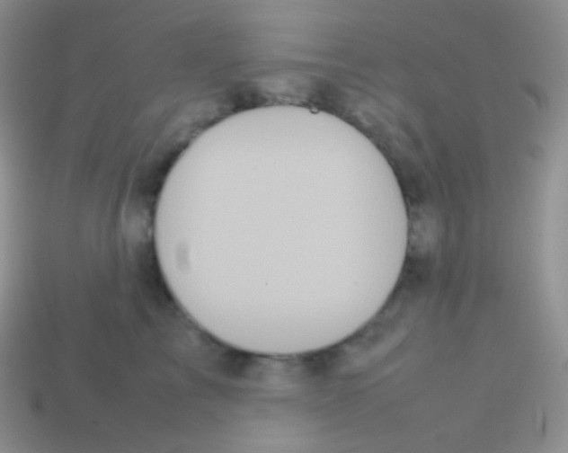 X0000113640713200910162037