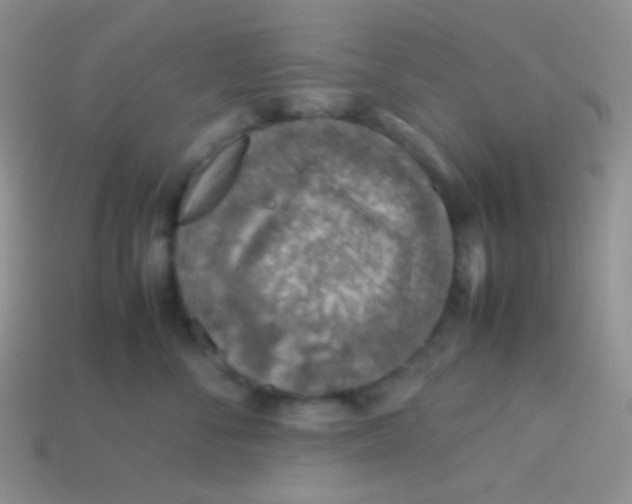 X0000113640716200910162037