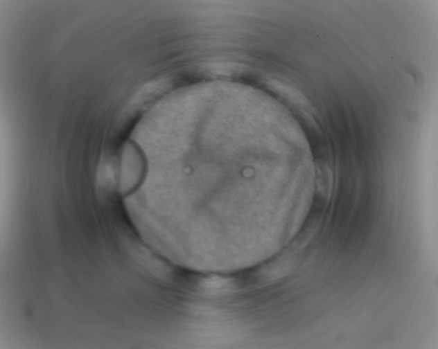 X0000113640718200910162037