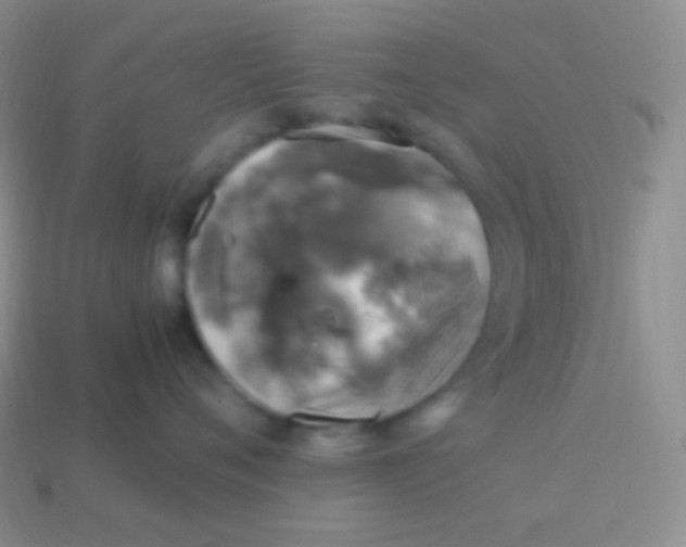 X0000113640720200910162037