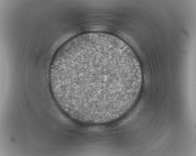 X0000113640721200910162036