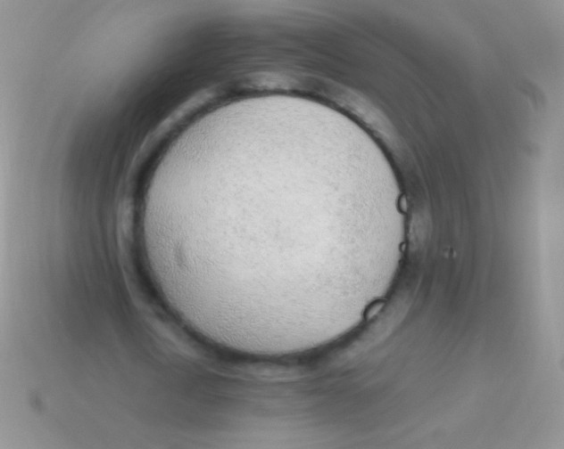 X0000113640722200910162036