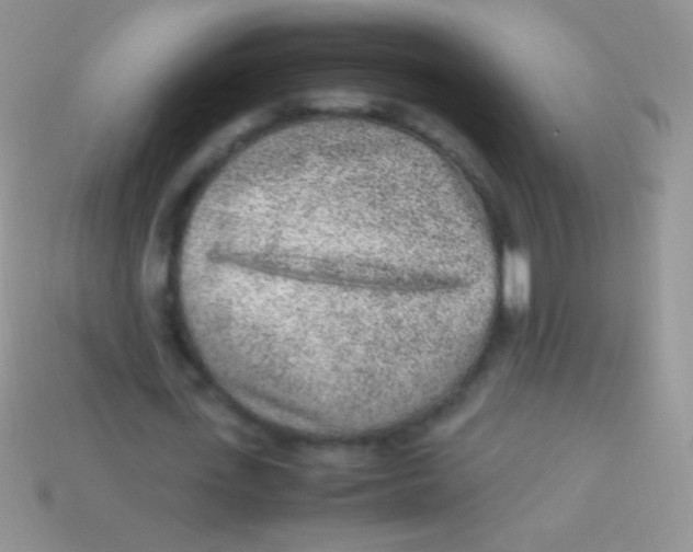 X0000113640723200910162036