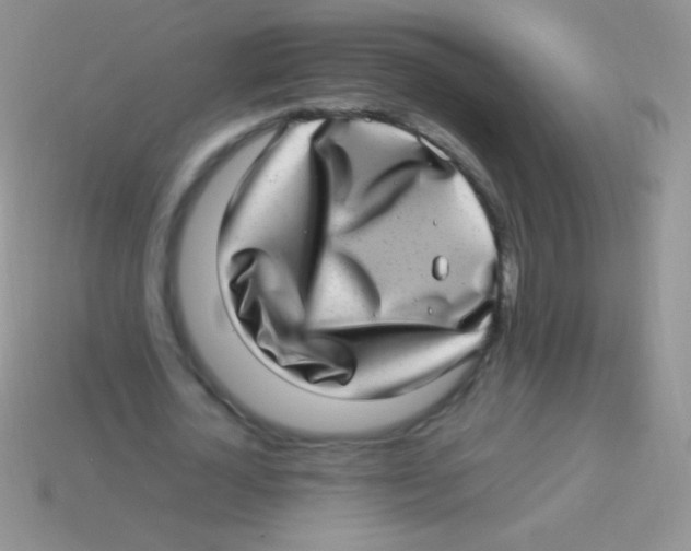 X0000113640724200910162036