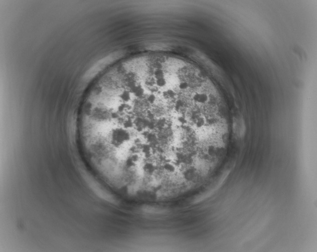 X0000113640725200910162036