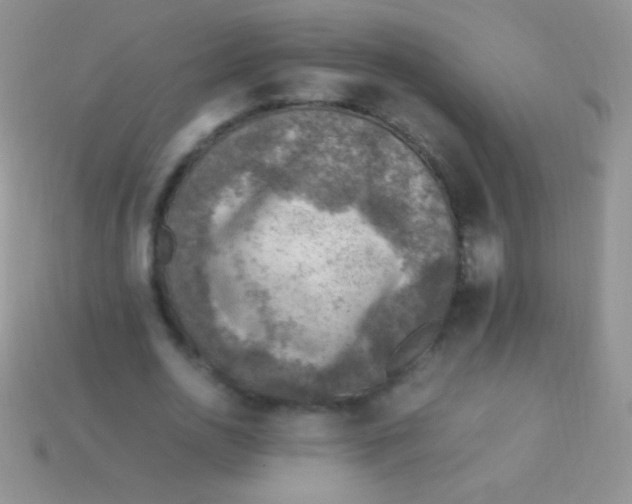 X0000113640726200910162036