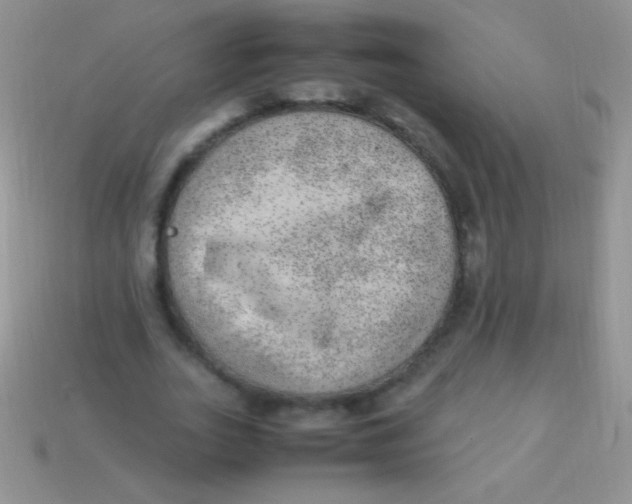 X0000113640727200910162037