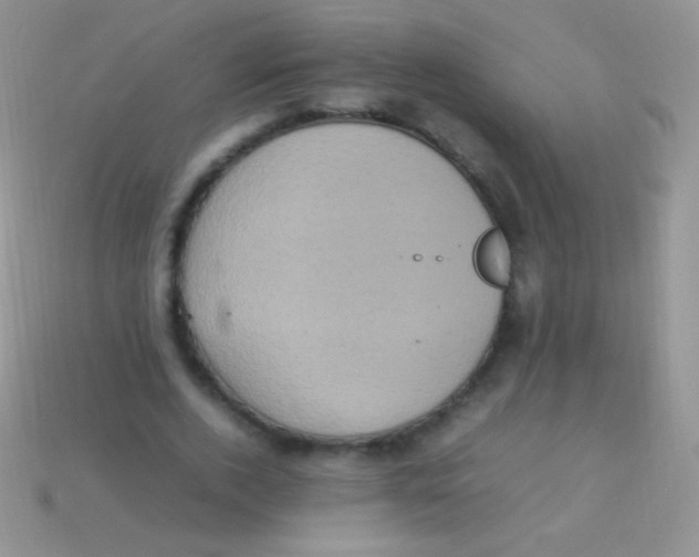 X0000113640728200910162037