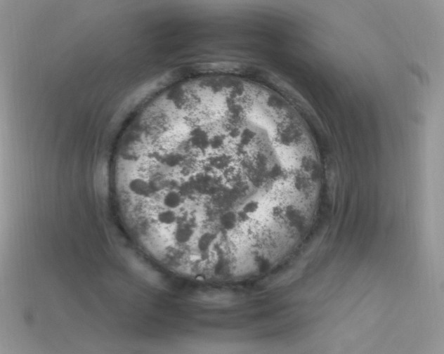 X0000113640729200910162037