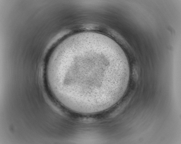 X0000113640730200910162037