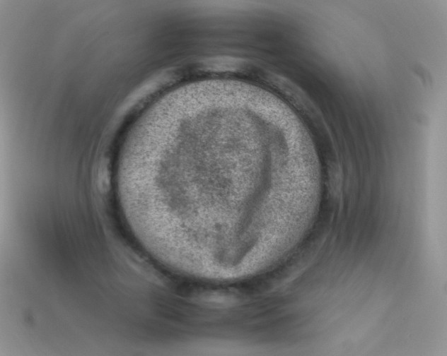 X0000113640731200910162037