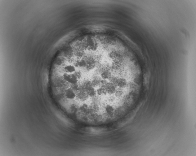 X0000113640733200910162037