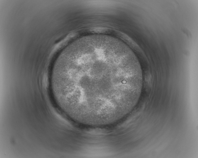 X0000113640734200910162037