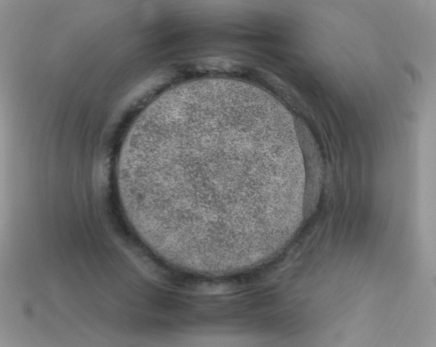 X0000113640735200910162037