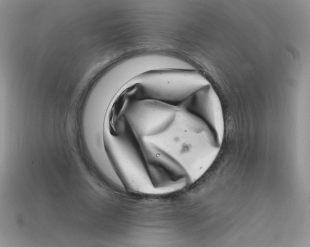 X0000113640736200910162037