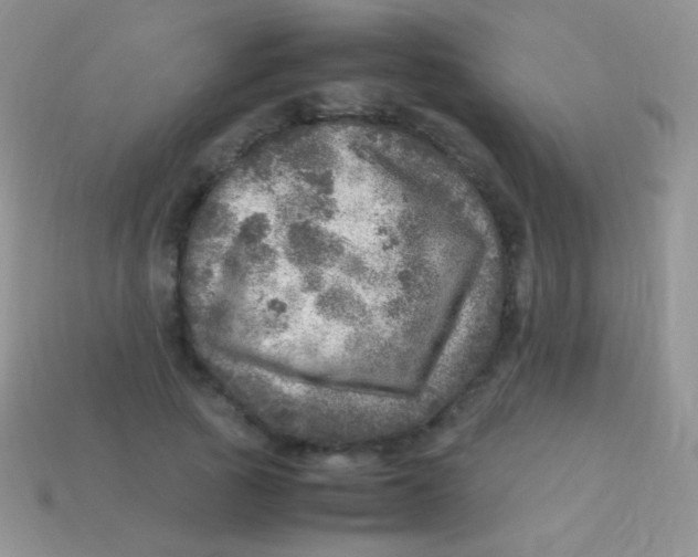 X0000113640737200910162037