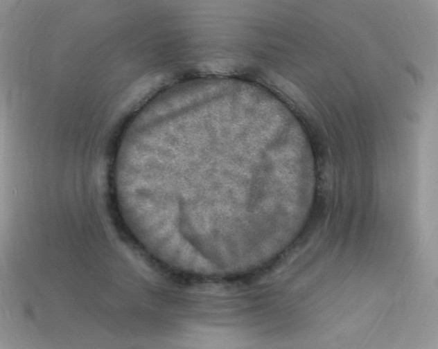 X0000113640738200910162037