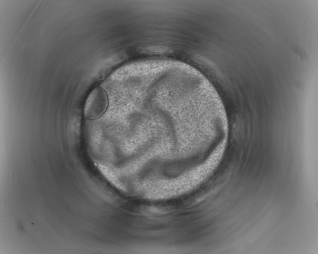 X0000113640739200910162037