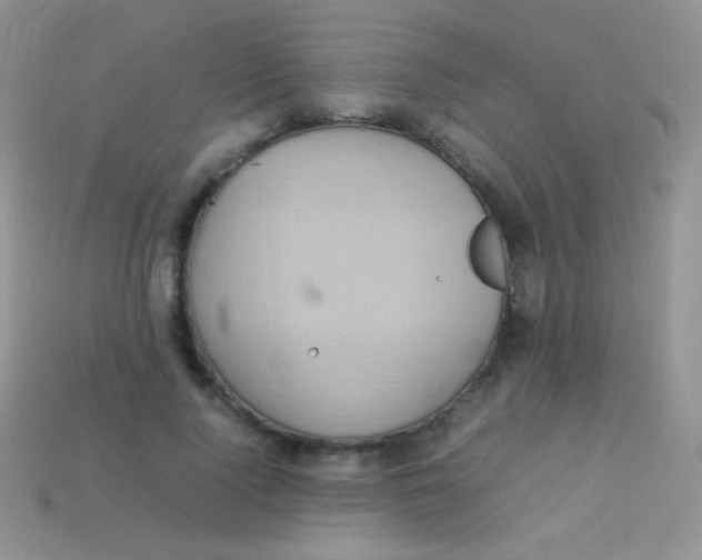 X0000113640740200910162037