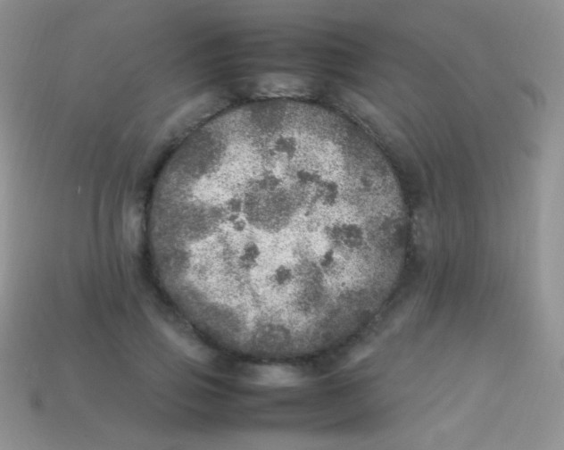 X0000113640741200910162037