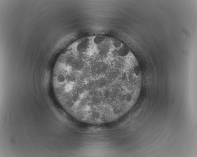 X0000113640742200910162037