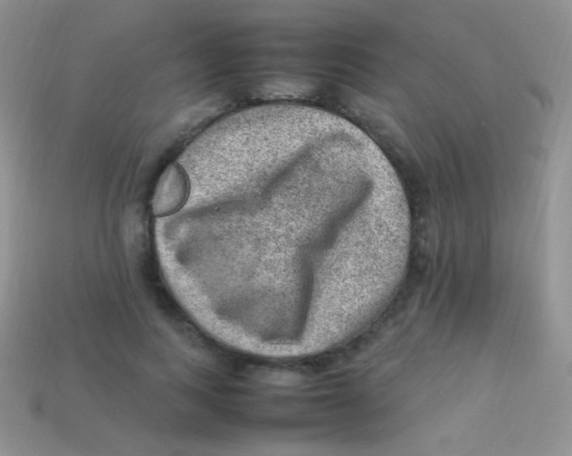 X0000113640743200910162037