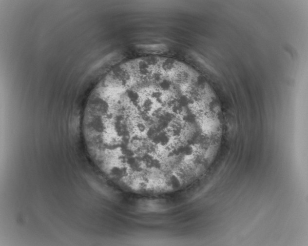 X0000113640745200910162037