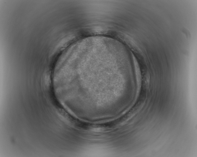 X0000113640746200910162037