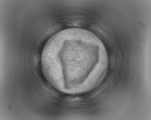 X0000113640747200910162037