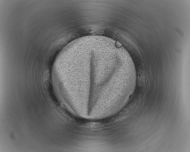 X0000113640748200910162037