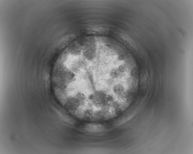 X0000113640749200910162037