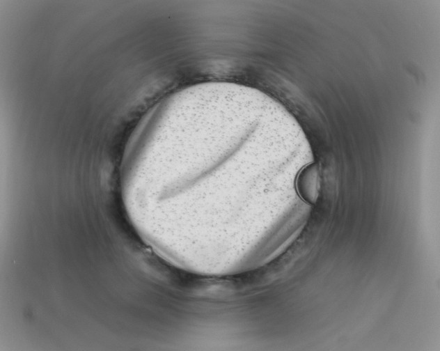 X0000113640750200910162037