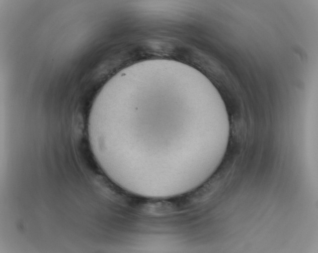 X0000113640752200910162037