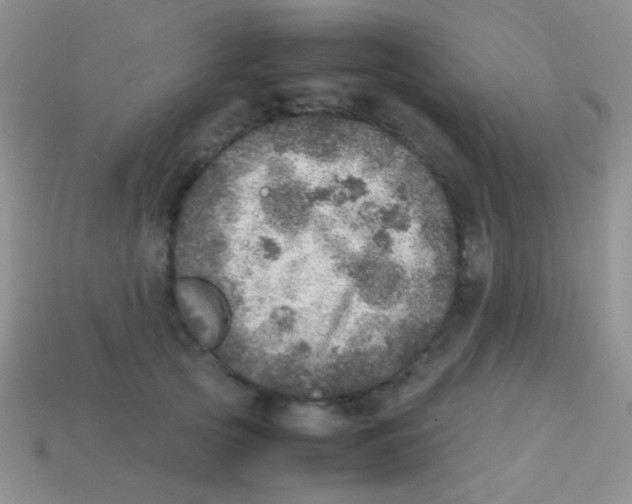 X0000113640753200910162037