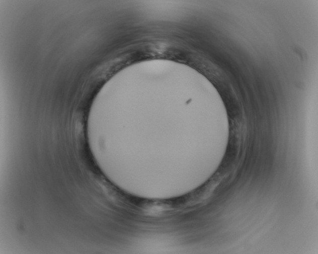 X0000113640754200910162037