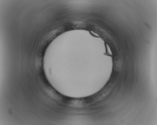 X0000113640756200910162037