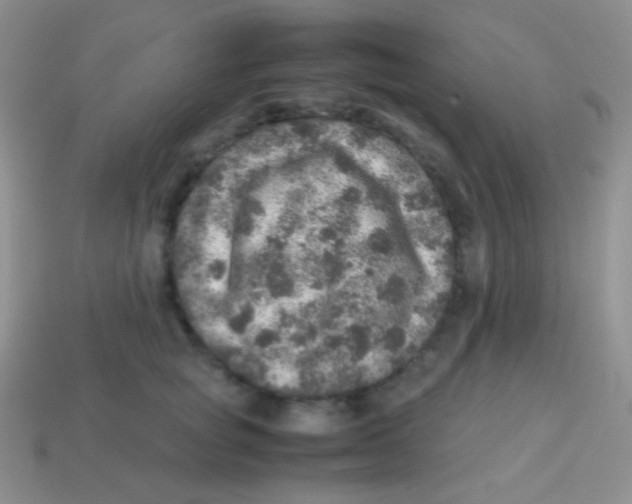 X0000113640757200910162037