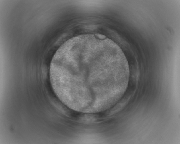 X0000113640758200910162037