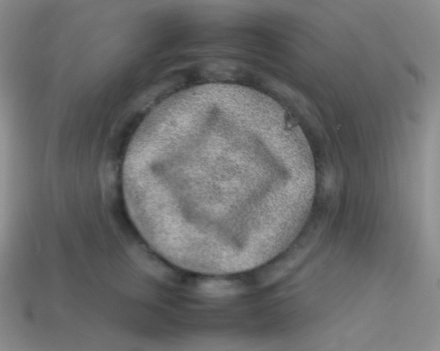 X0000113640759200910162037