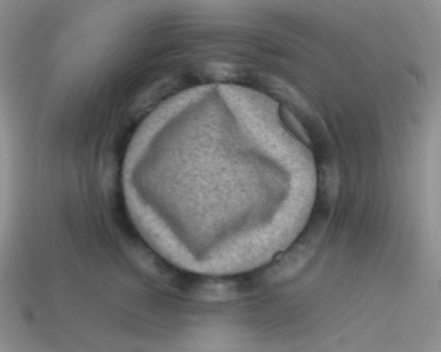 X0000113640760200910162037