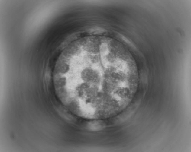 X0000113640761200910162037