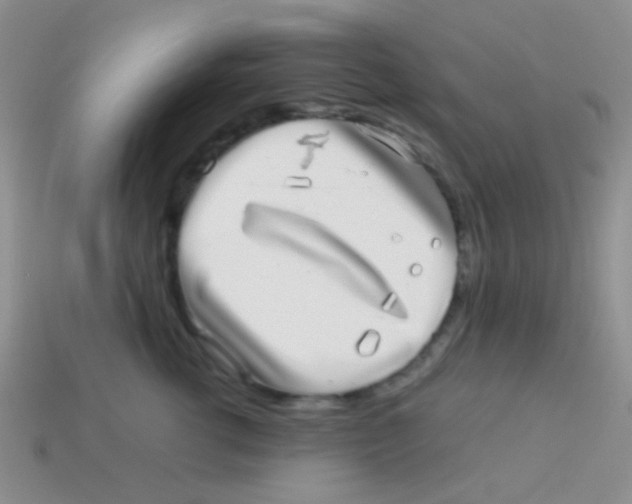 X0000113640762200910162037