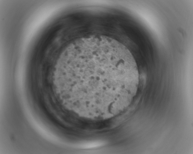 X0000113640765200910162037