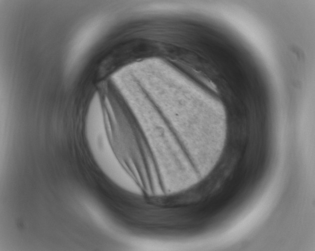 X0000113640766200910162037