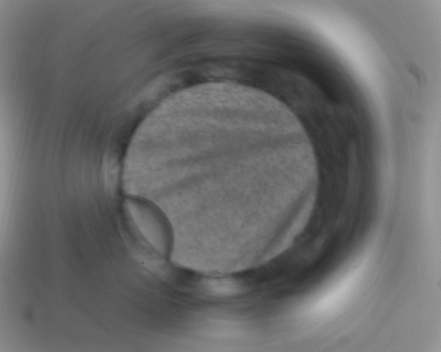 X0000113640767200910162037