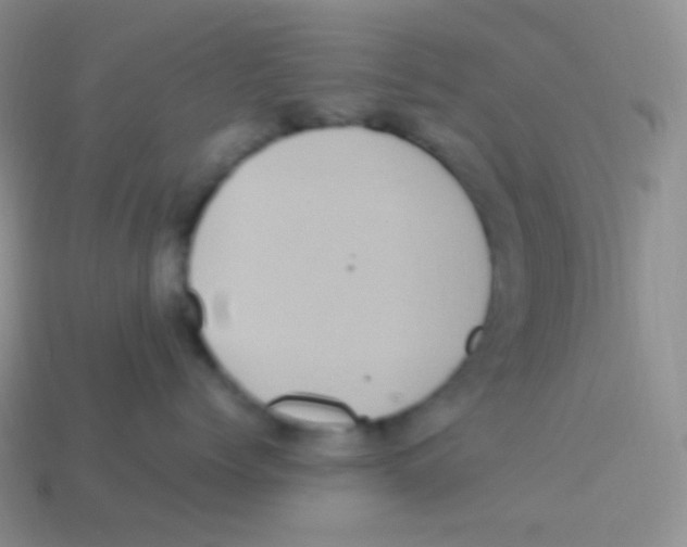 X0000113640768200910162037