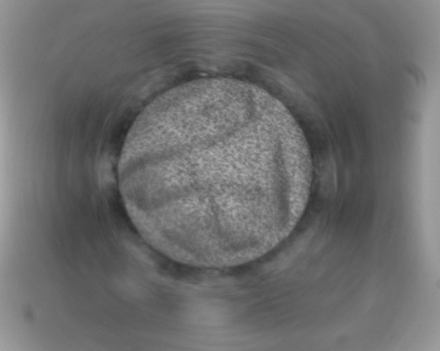 X0000113640770200910162036