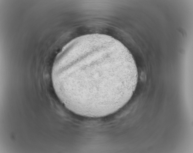 X0000113640771200910162036